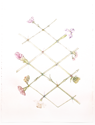© LARS HINRICHS, UNTITLED (GRID FLOWERS), 2026, AQUARELLE 77 x 57 CM